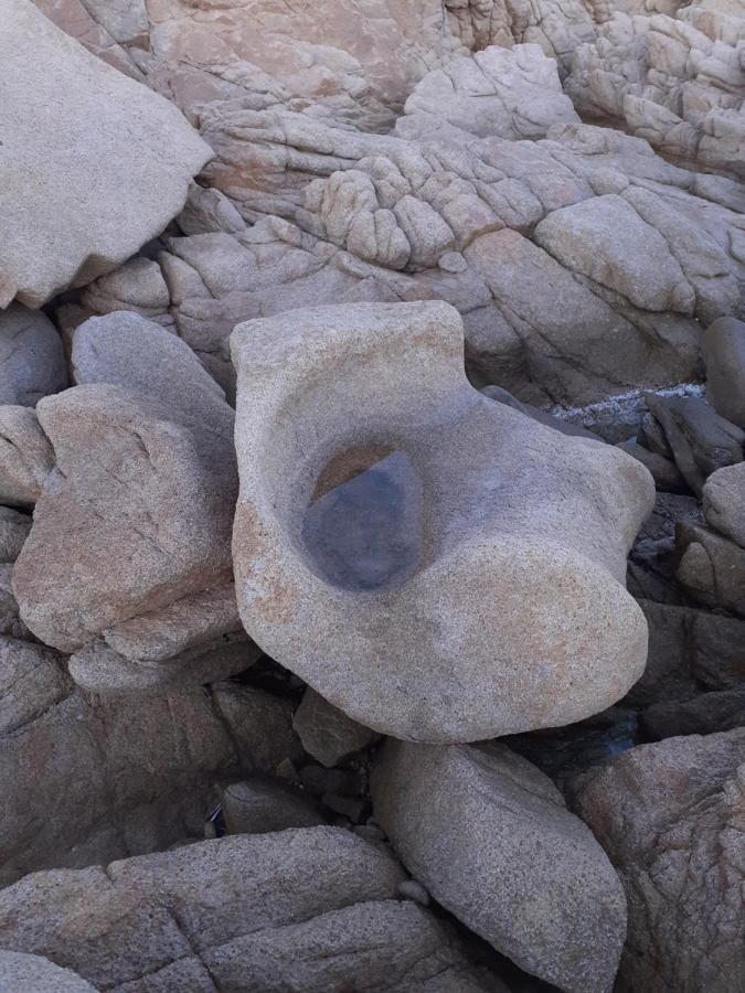Ginepro Daire San Vito Lo Capo Dış mekan fotoğraf